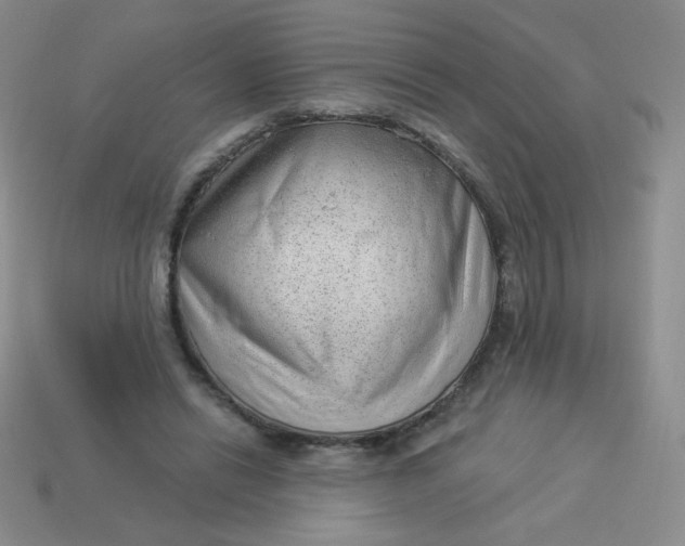 X0000113900446200910151359