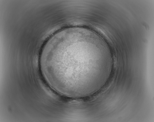 X0000113900447200910151359