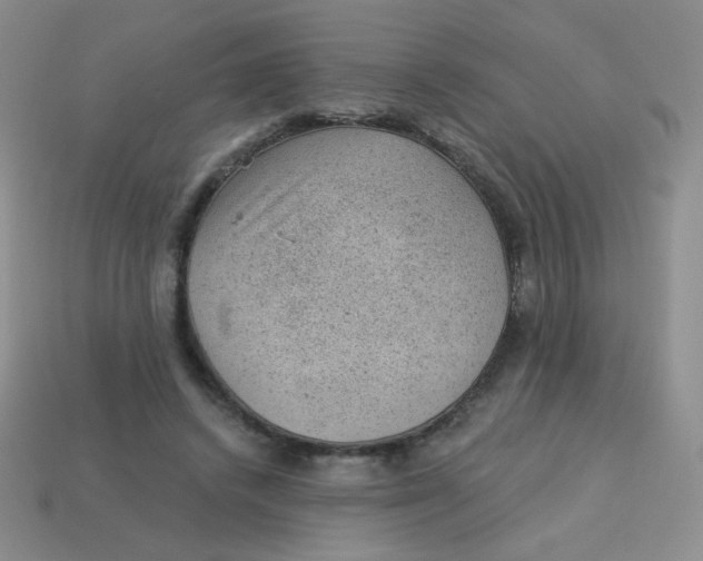 X0000113900448200910151359