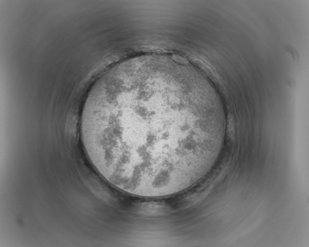 X0000113900449200910151359