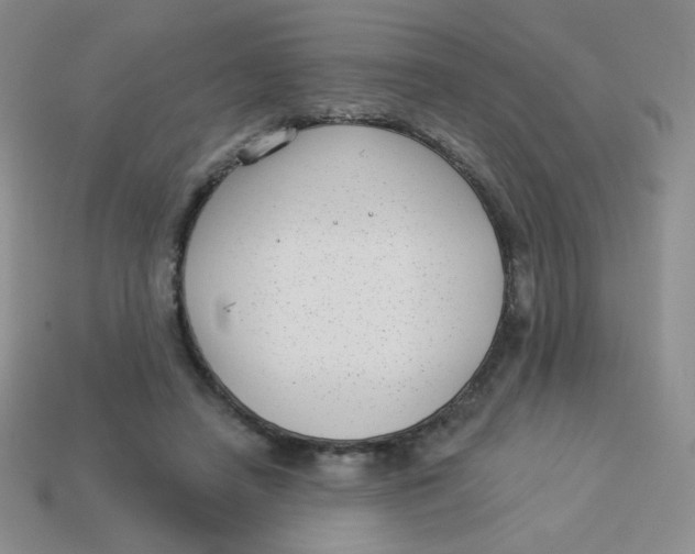 X0000113900450200910151359