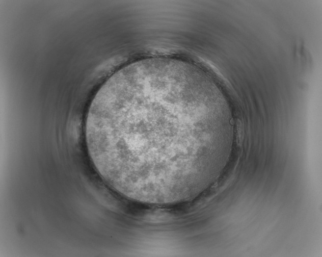 X0000113900451200910151359