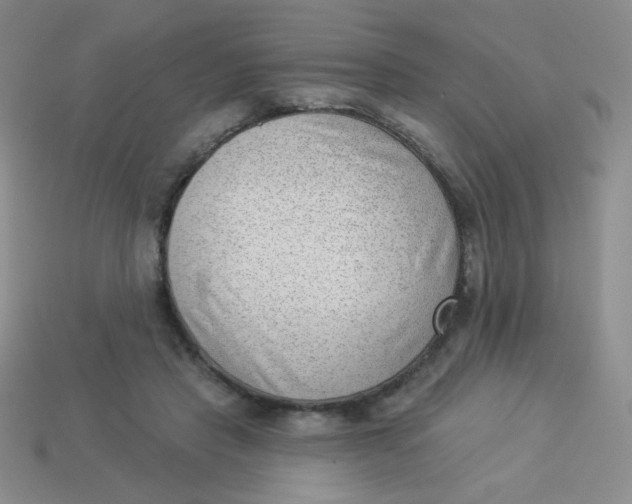 X0000113900453200910151359