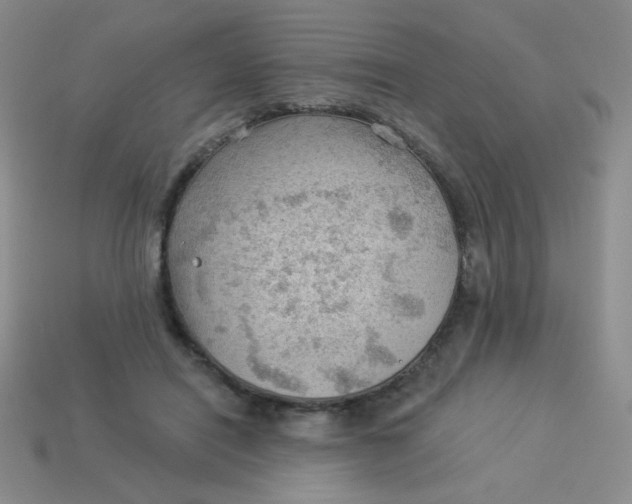 X0000113900454200910151359