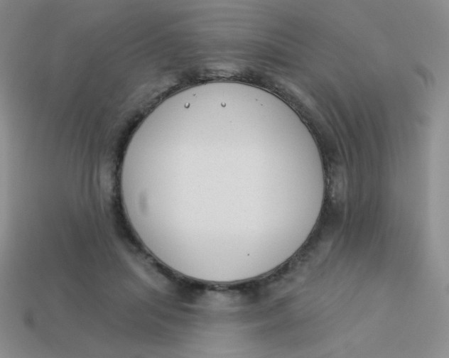 X0000113900455200910151359