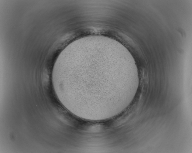 X0000113900456200910151359