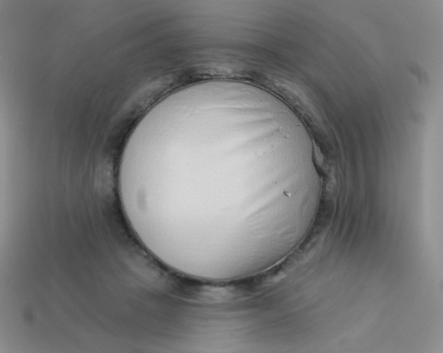 X0000113900457200910151359