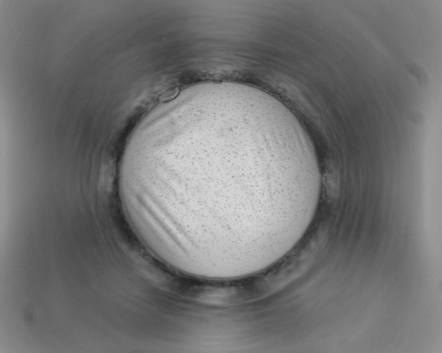 X0000113900458200910151359