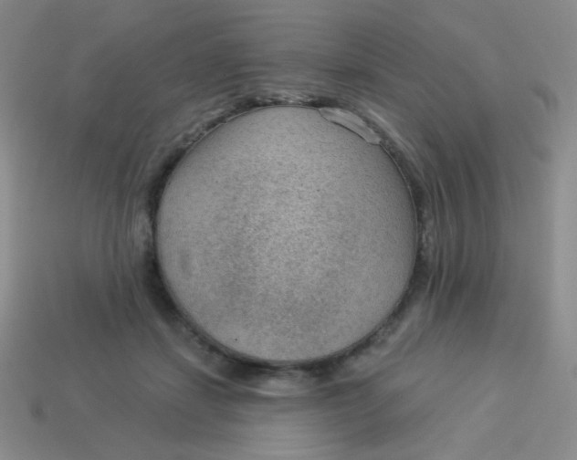 X0000113900459200910151359