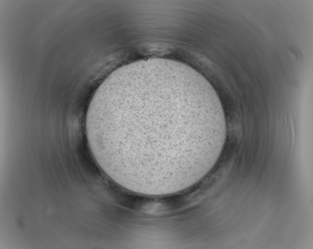 X0000113900460200910151359