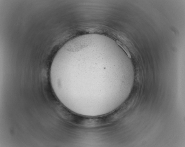 X0000113900461200910151400