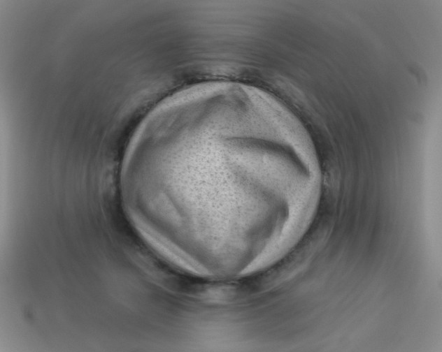 X0000113900462200910151400