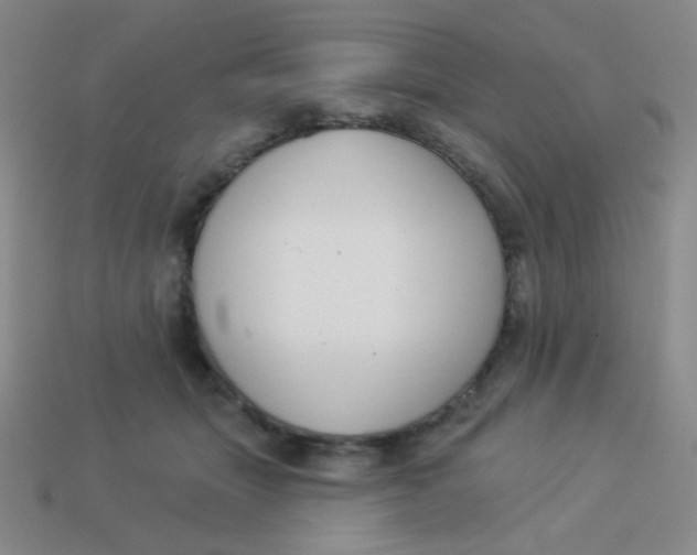 X0000113900463200910151400