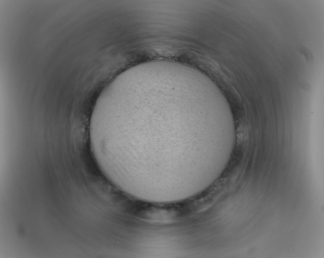 X0000113900464200910151400