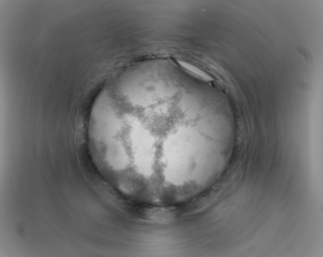 X0000113900465200910151400