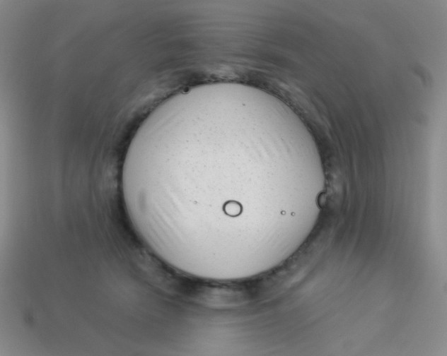 X0000113900466200910151400