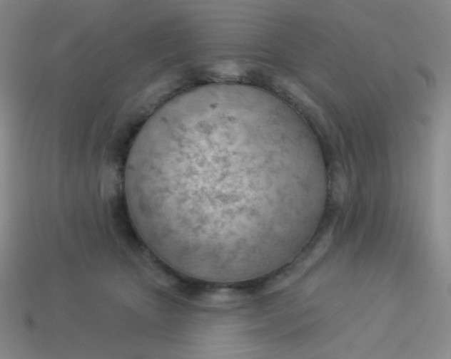 X0000113900467200910151400