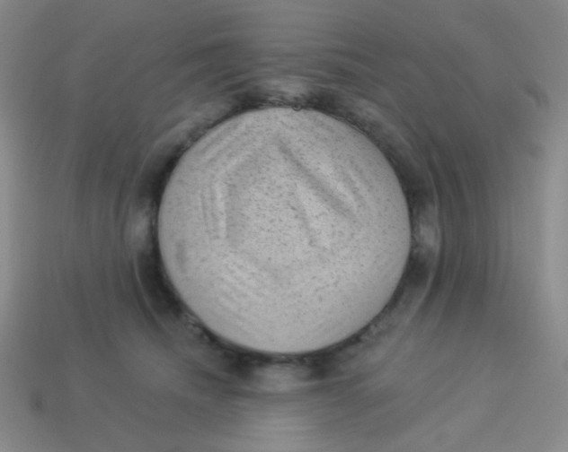 X0000113900468200910151400