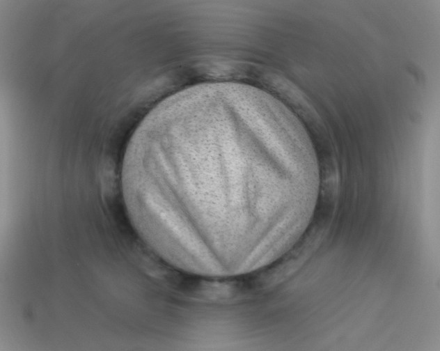 X0000113900469200910151400