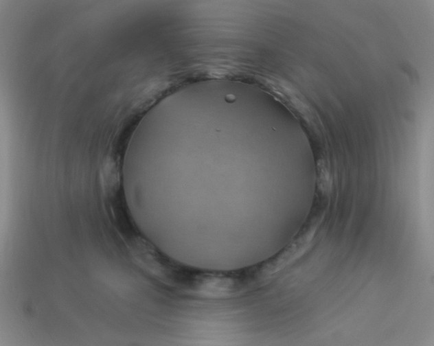 X0000113900471200910151400