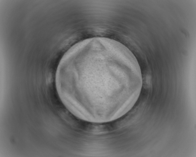 X0000113900472200910151400