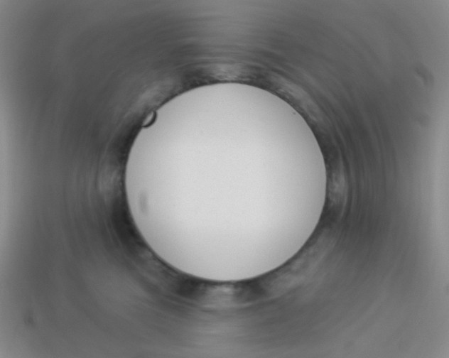 X0000113900473200910151400