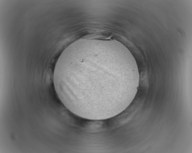 X0000113900474200910151400