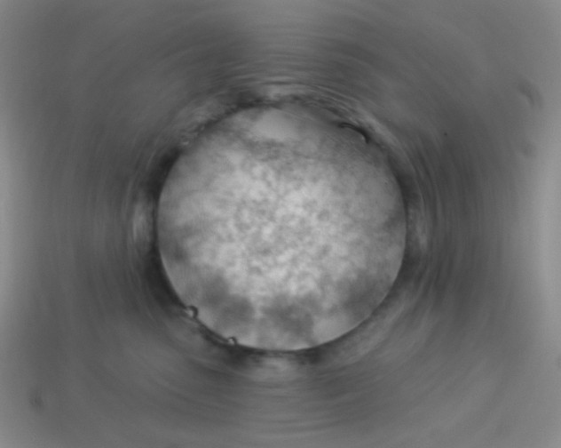 X0000113900475200910151400