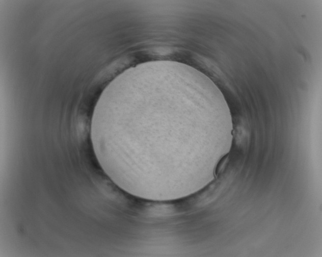 X0000113900476200910151400