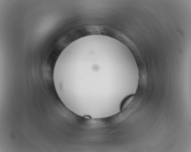 X0000113900477200910151400