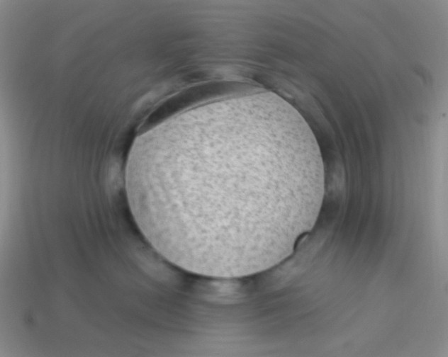 X0000113900478200910151400