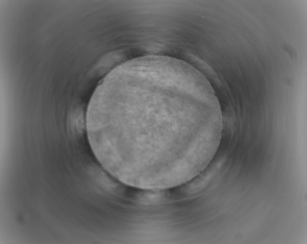 X0000113900479200910151400