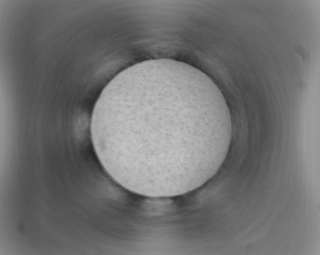 X0000113900480200910151400