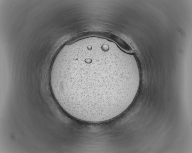 X0000113900481200910151359