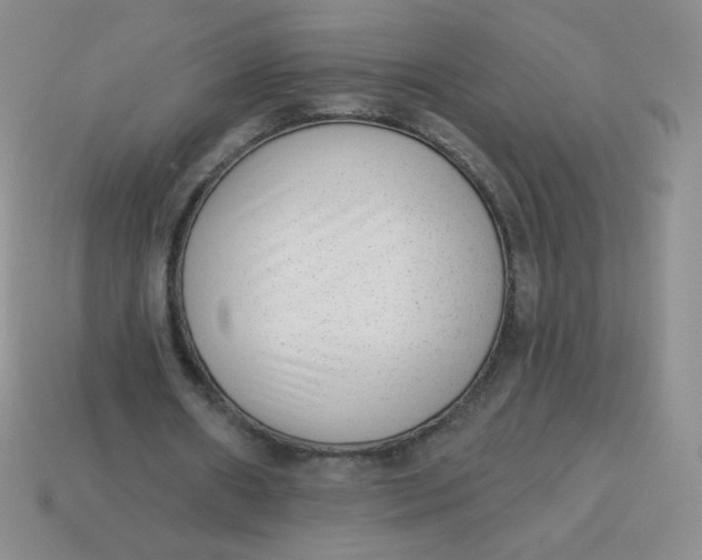 X0000113900482200910151359