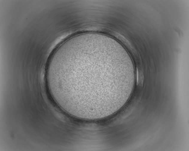 X0000113900483200910151359