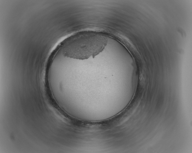 X0000113900484200910151359