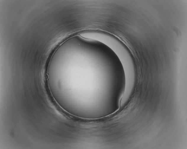 X0000113900485200910151359