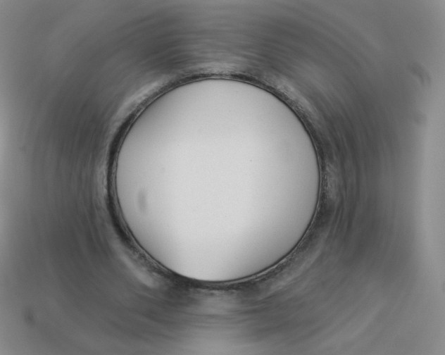 X0000113900486200910151359