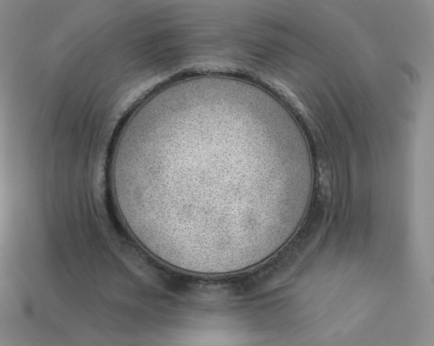 X0000113900487200910151359