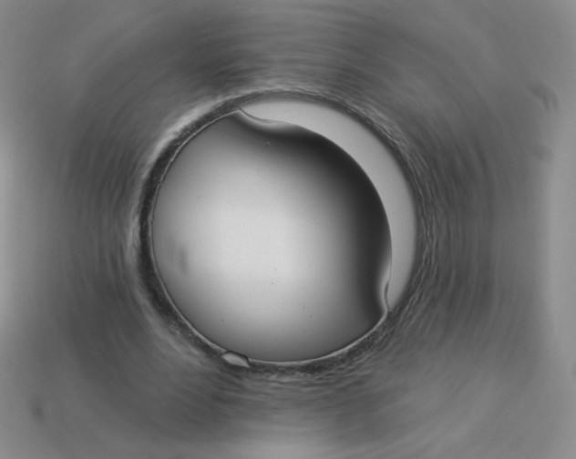 X0000113900488200910151359