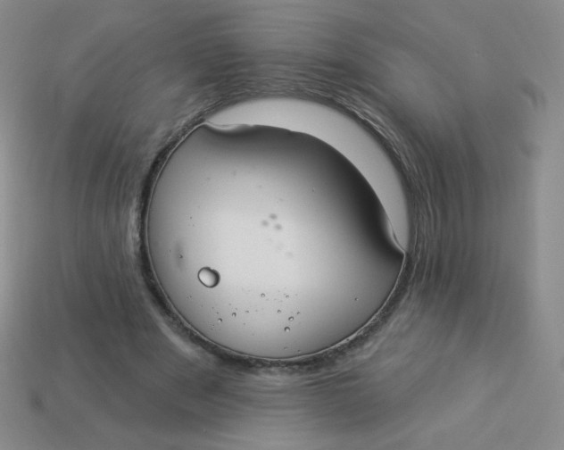 X0000113900489200910151359