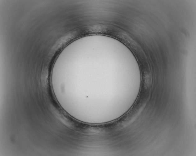 X0000113900490200910151359