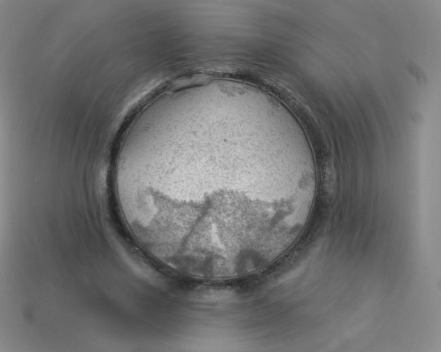 X0000113900491200910151359