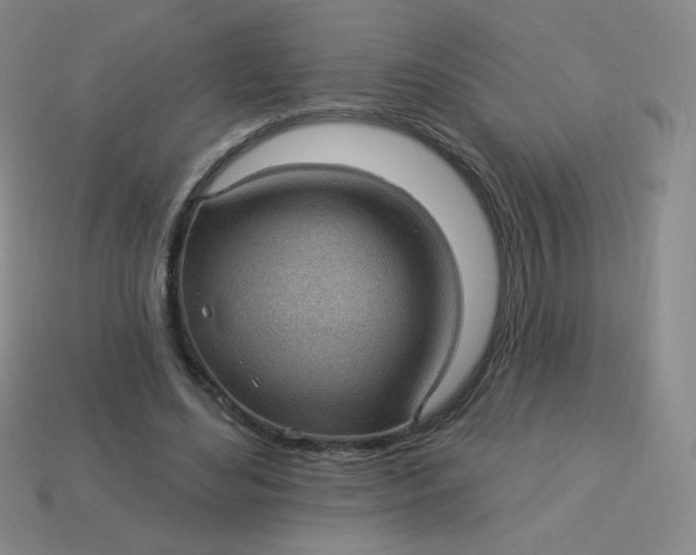 X0000113900492200910151359