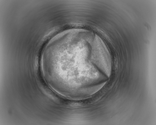 X0000113900494200910151359