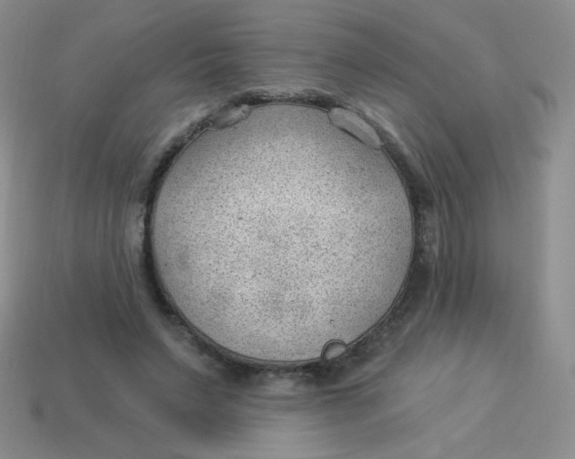 X0000113900495200910151359