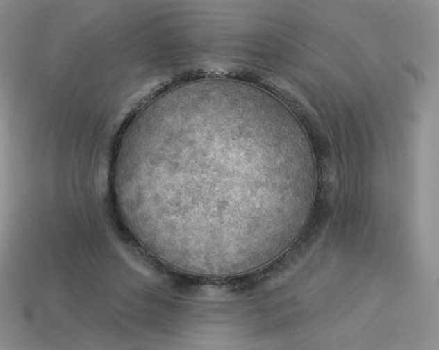 X0000113900496200910151359