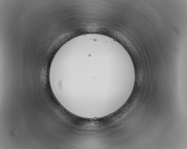 X0000113900497200910151359