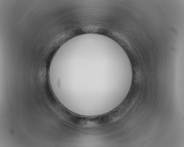 X0000113900498200910151359